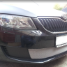 Защита радиатора "Standart" Skoda Octavia Active А7 (2012-2017) хром купить недорого с доставкой в Новосибирск
