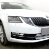 Защита радиатора "Standart" Skoda Octavia A7 (2016-2020) хром купить недорого с доставкой в Новосибирск
