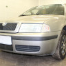 Защита радиатора "Standart" Skoda Octavia (2000-2010) чёрная купить недорого с доставкой в Новосибирск