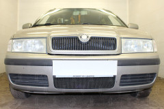 Защита радиатора "Standart" Skoda Octavia (2000-2010) чёрная