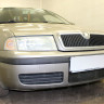 Защита радиатора "Standart" Skoda Octavia (2000-2010) чёрная купить недорого с доставкой в Новосибирск