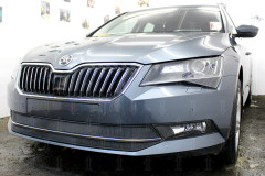 Защита радиатора "Standart" Skoda SuperB III (2015-2019) чёрная