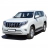 Защита порогов «Труба» (d40) для Toyota Land Cruiser 150 (2009-2016)(Окрашенное) купить недорого с доставкой в Новосибирск