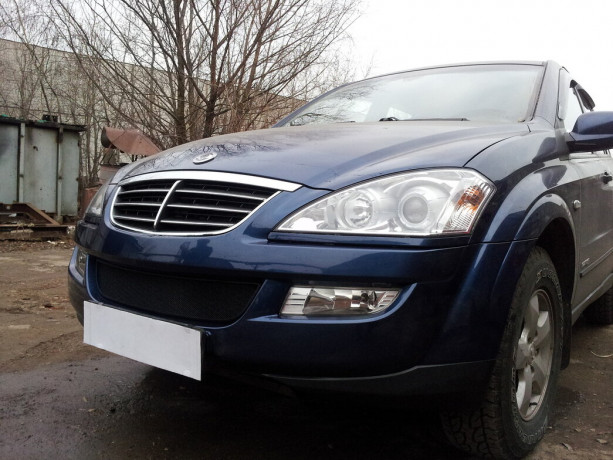 Защита радиатора "Standart" SsangYong Kyron (2006-2016) чёрная купить недорого с доставкой в Новосибирск