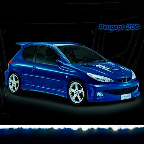 Накладки на пороги "WRC Style" Peugeot 206 (5 дверный) купить недорого с доставкой в Новосибирск