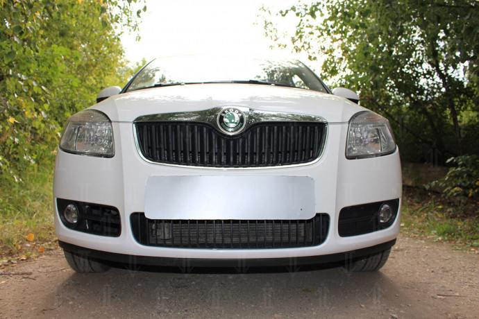 Защита радиатора "Standart" Skoda Fabia II (2007-2010) чёрная купить недорого с доставкой в Новосибирск
